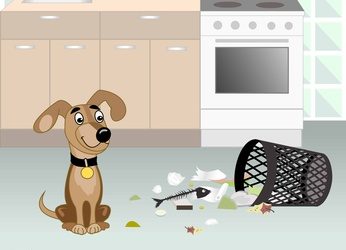 Eight Occassions you maybe Unknowingly Rewarding Undesirable Behaviours from your Dog