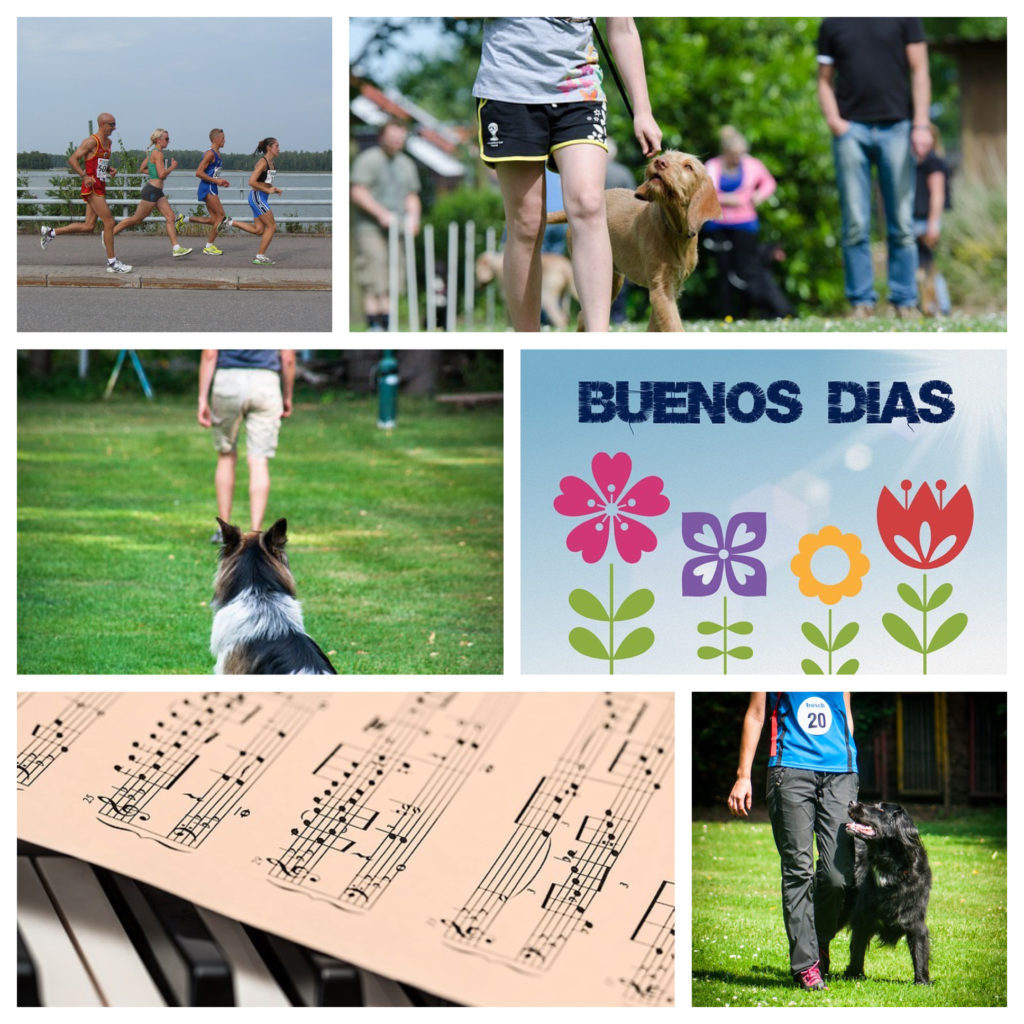 The Journey of Expectation from our Dogs