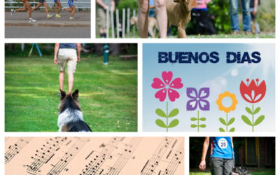 The Journey of Expectation from our Dogs