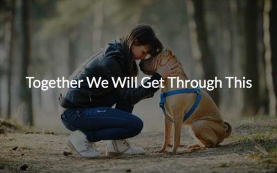 My Top Advisements for All Dog & Puppy Owners During Covid-19