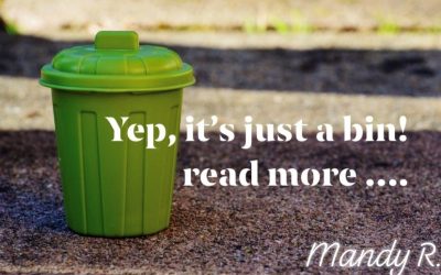 My Bin Analogy for Dog Behaviour Change
